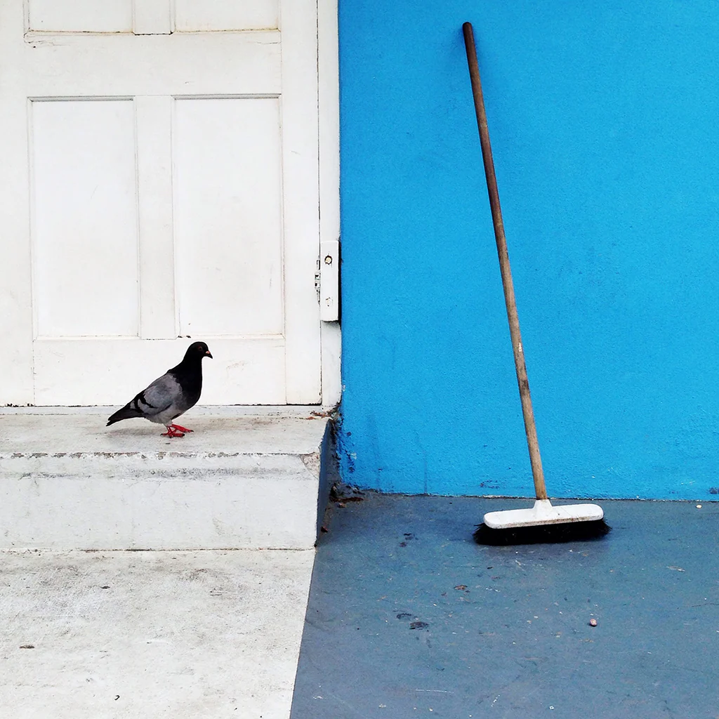 Yin Yang | Photography
