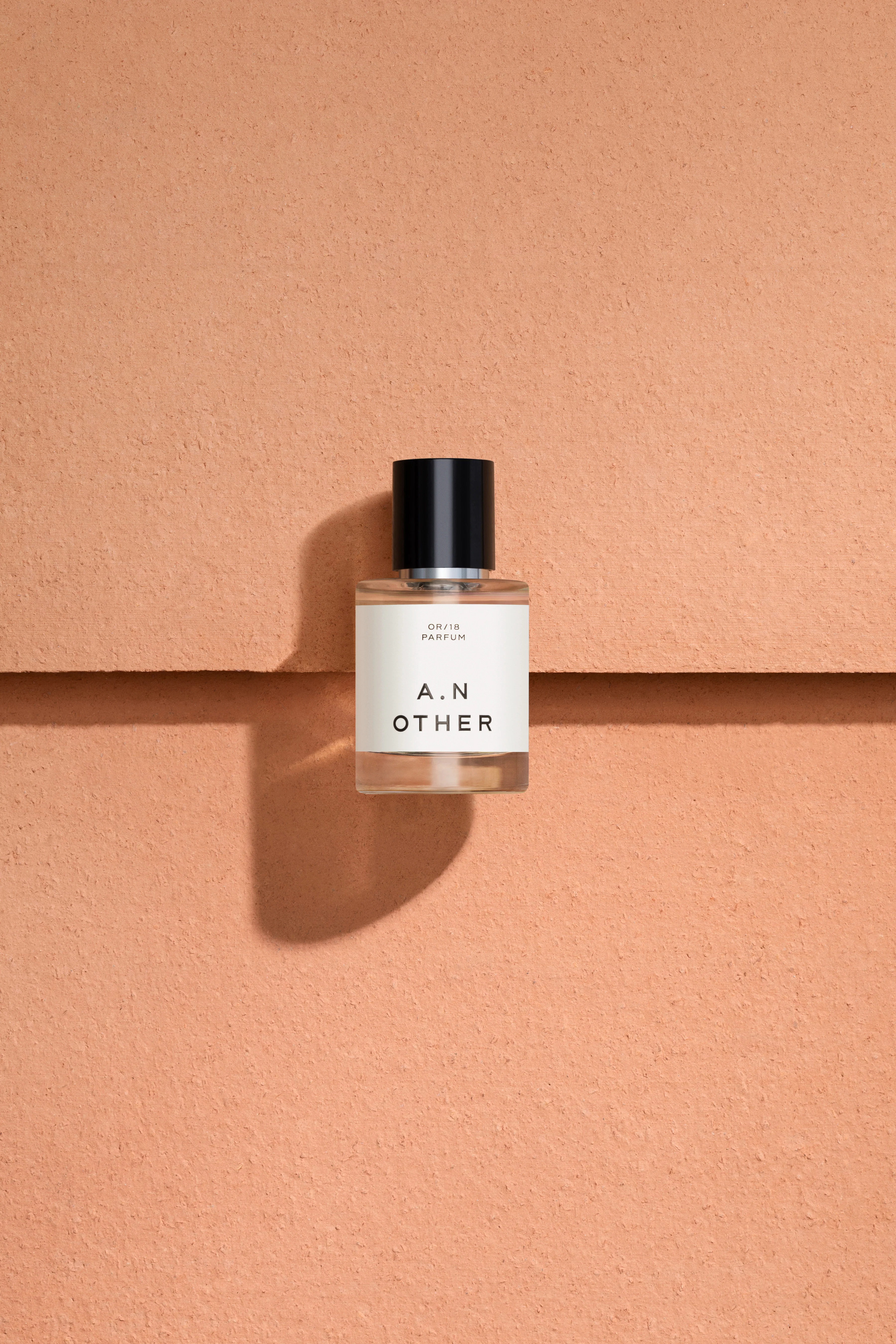 Spicey - OR/2018 - Image 2