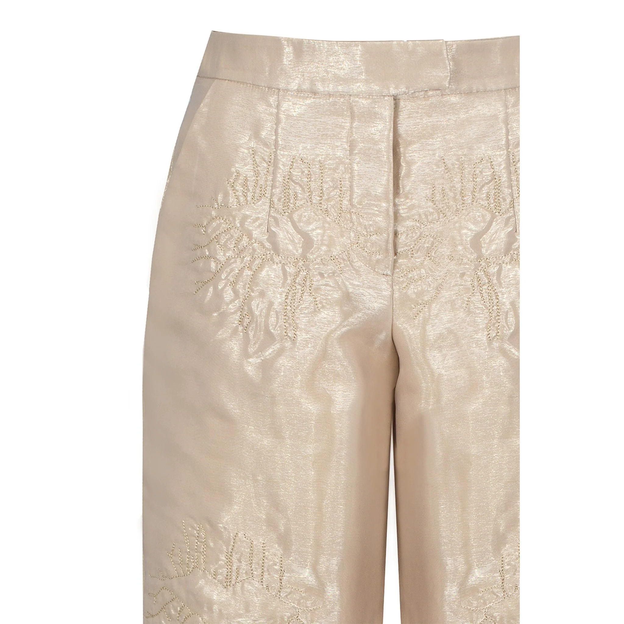 Beige Organza Straight Pants - Image 6