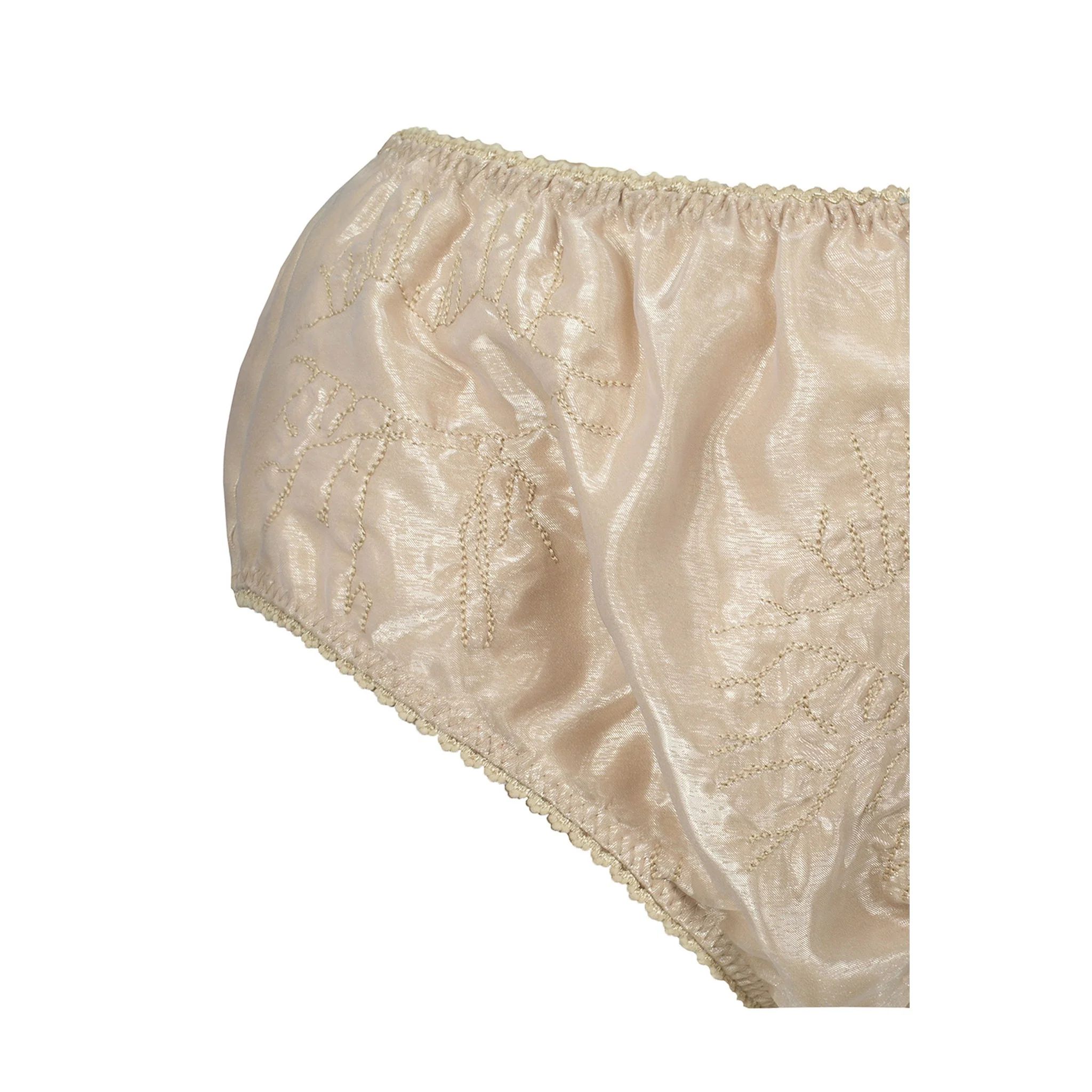 Beige Organza Micro Shorts - Image 5