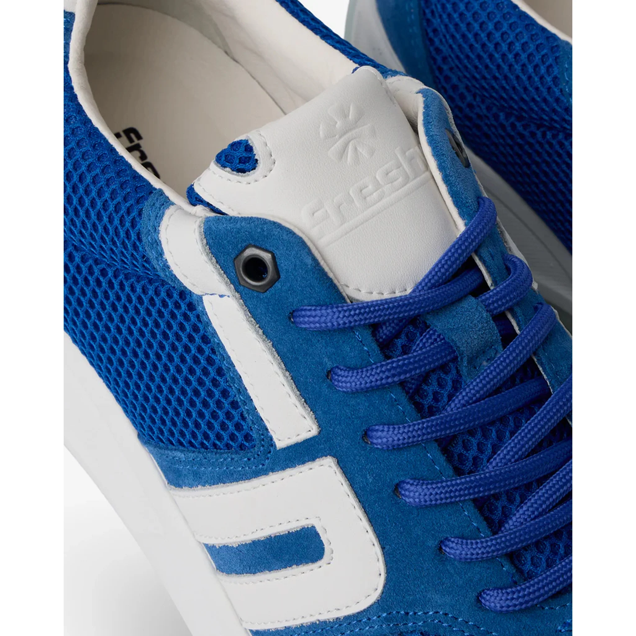 Brites+ Signature Series | Cobalt Blue - Image 4