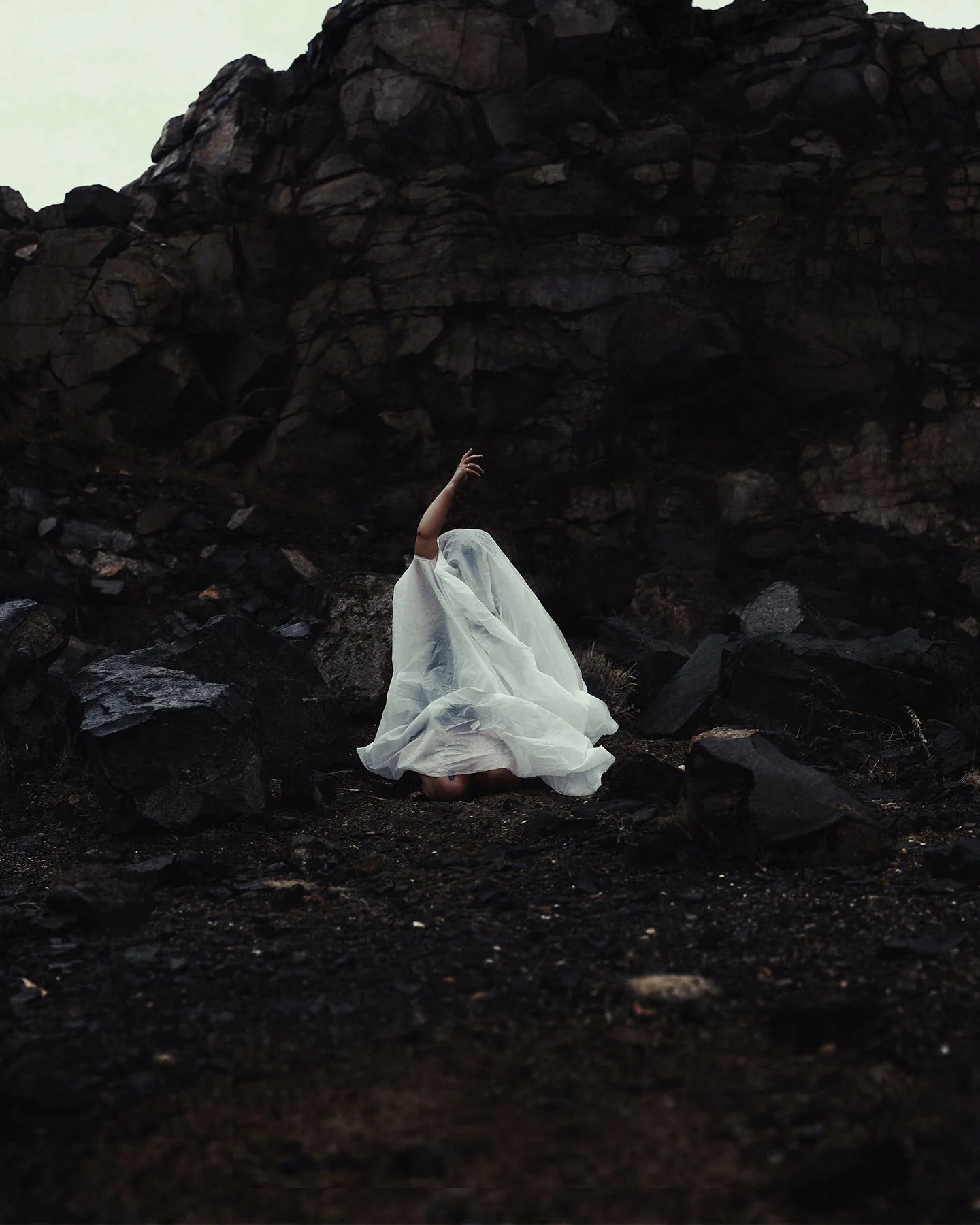 Awakening | Photography