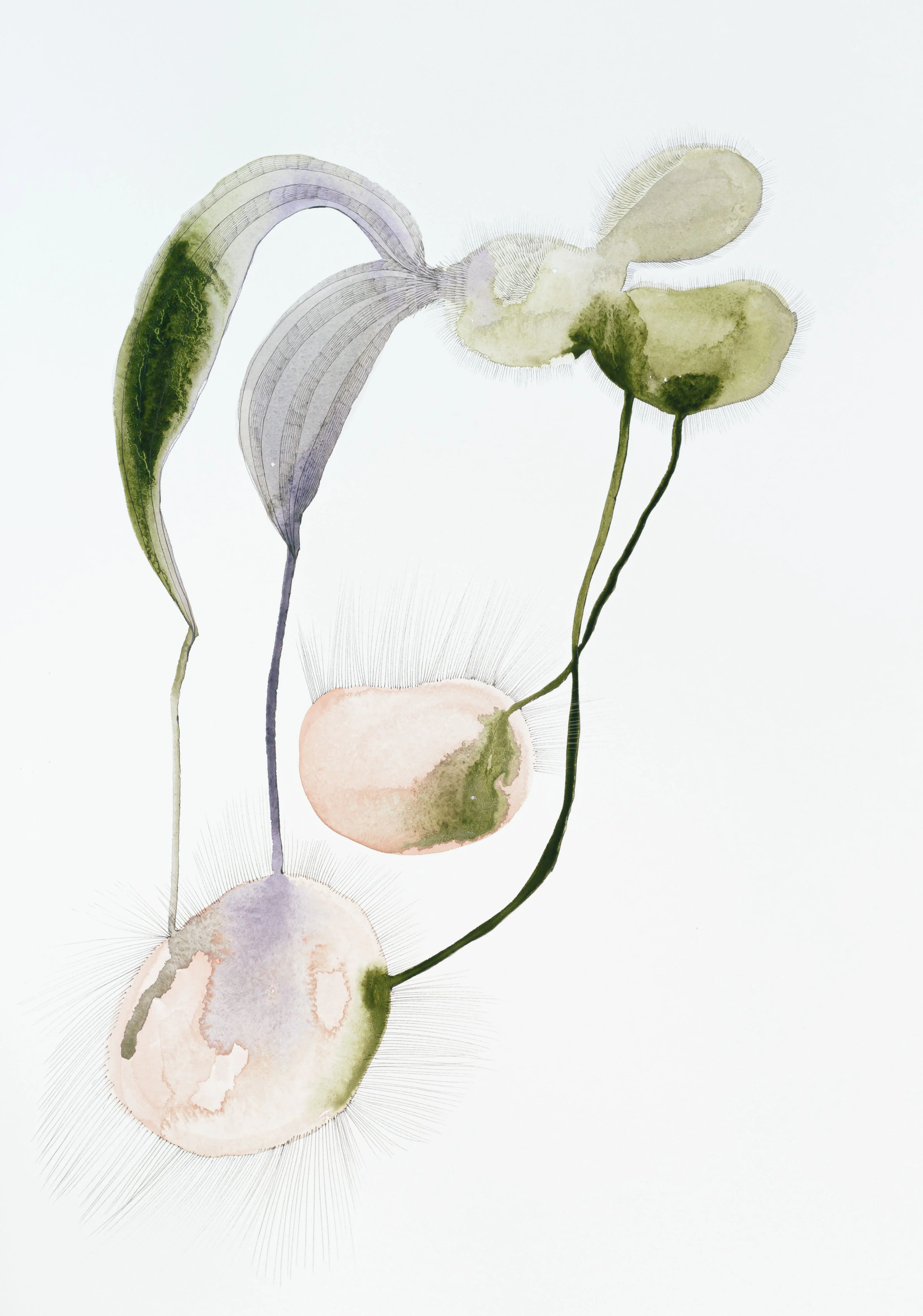 My Secret Garden No.IV | Painting